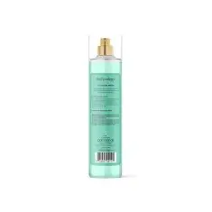 Bodycology Cucumber Melon Fragrance Misk Karpuz Kokulu Kadın Vücut Spreyi - 8